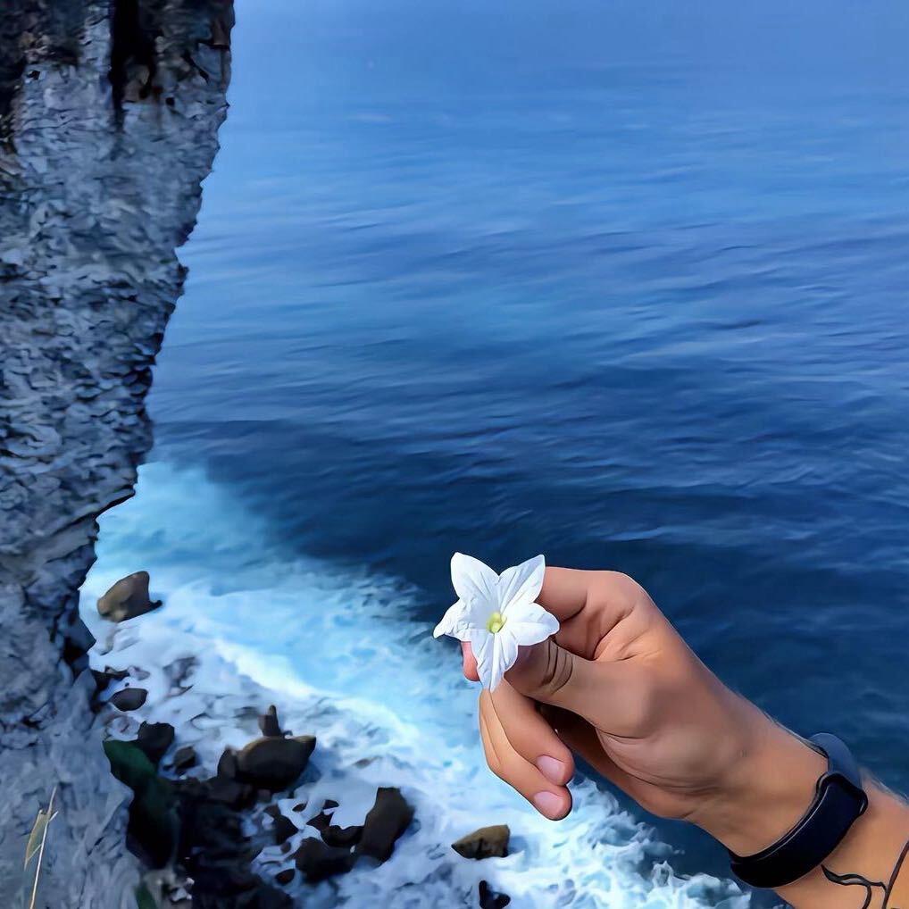 不愿种花