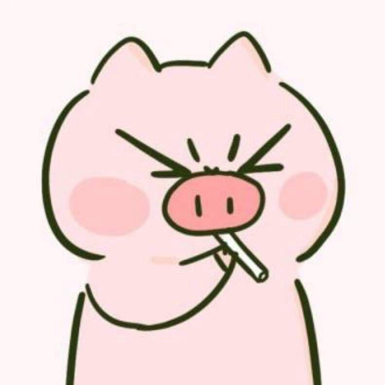 z小布