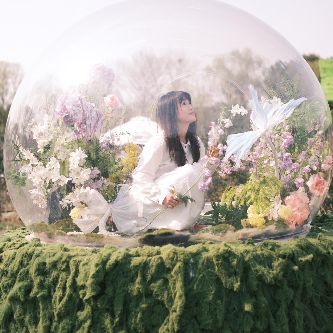 毛小碗吃饭吃小碗