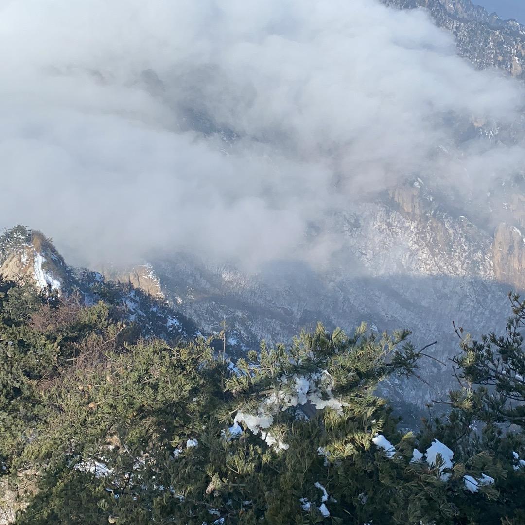 领导