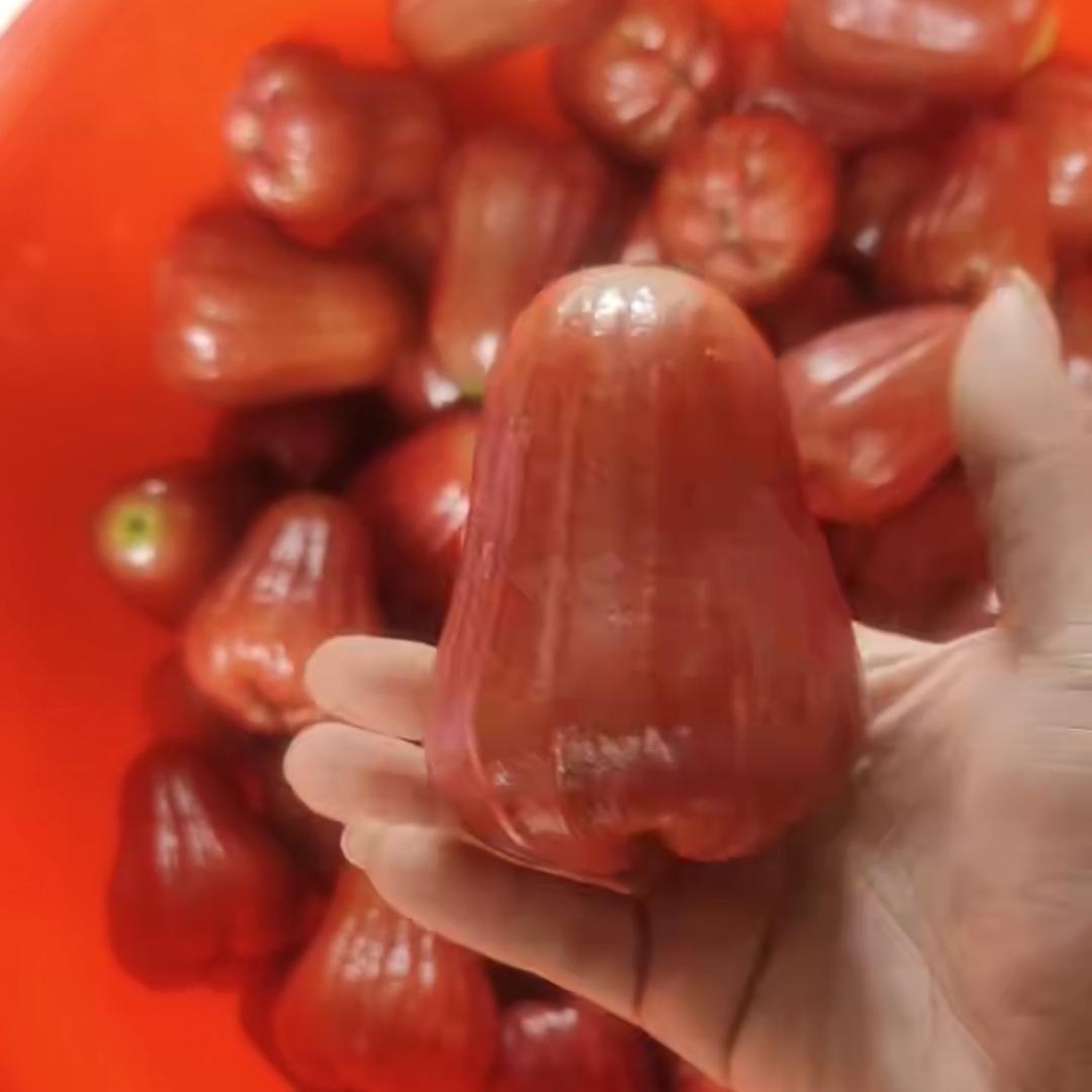 玩火（A溜果蔬）