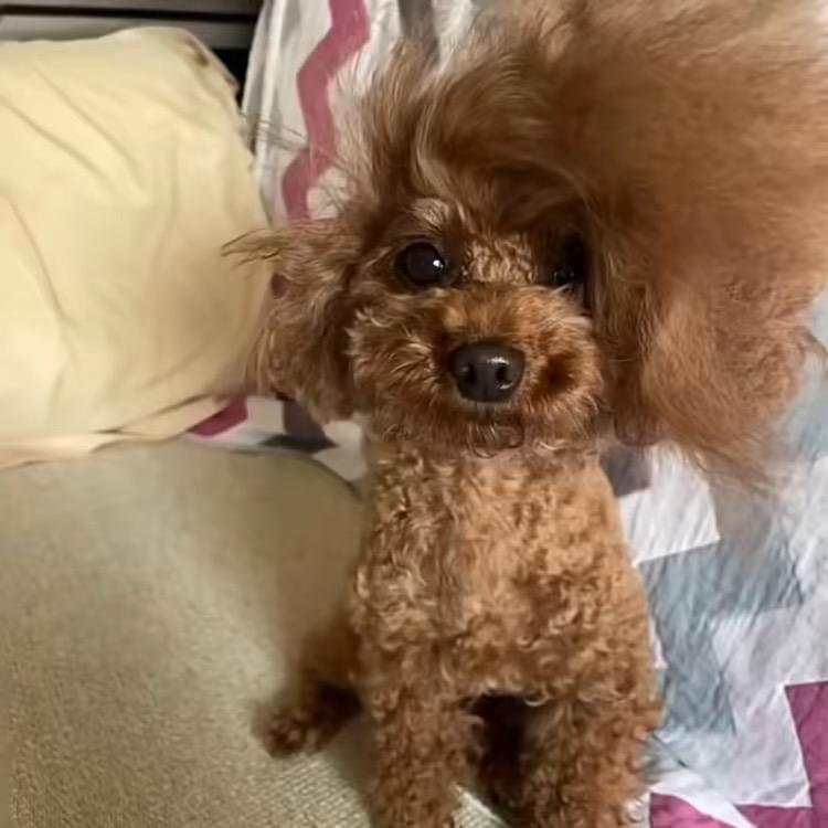 왕통