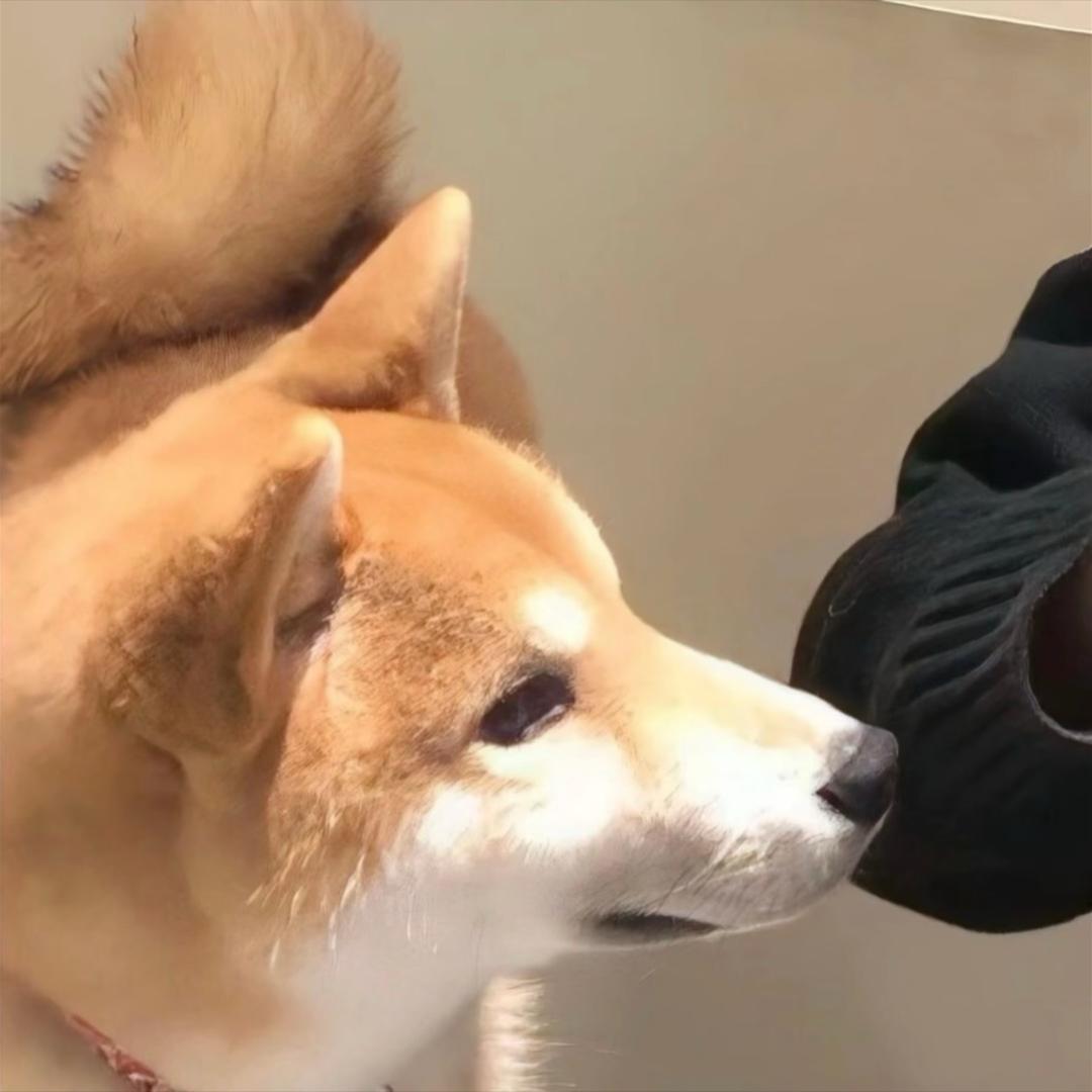 用户