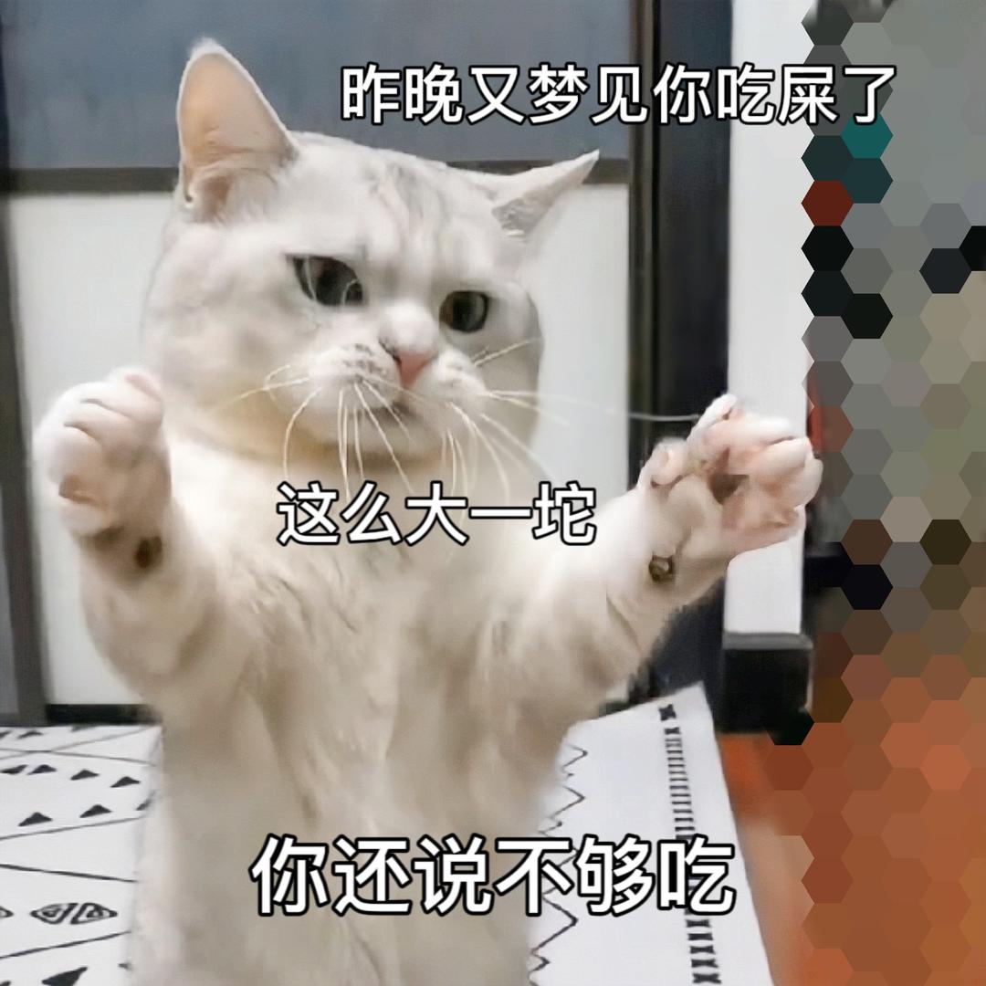 莓心莓肺🍓