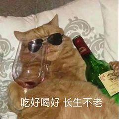 🐊鳄鱼是只猫🐱