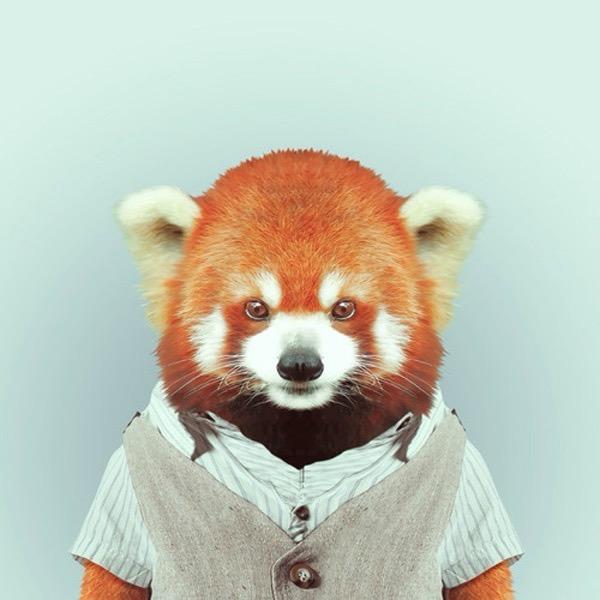 大梁会吃还会玩