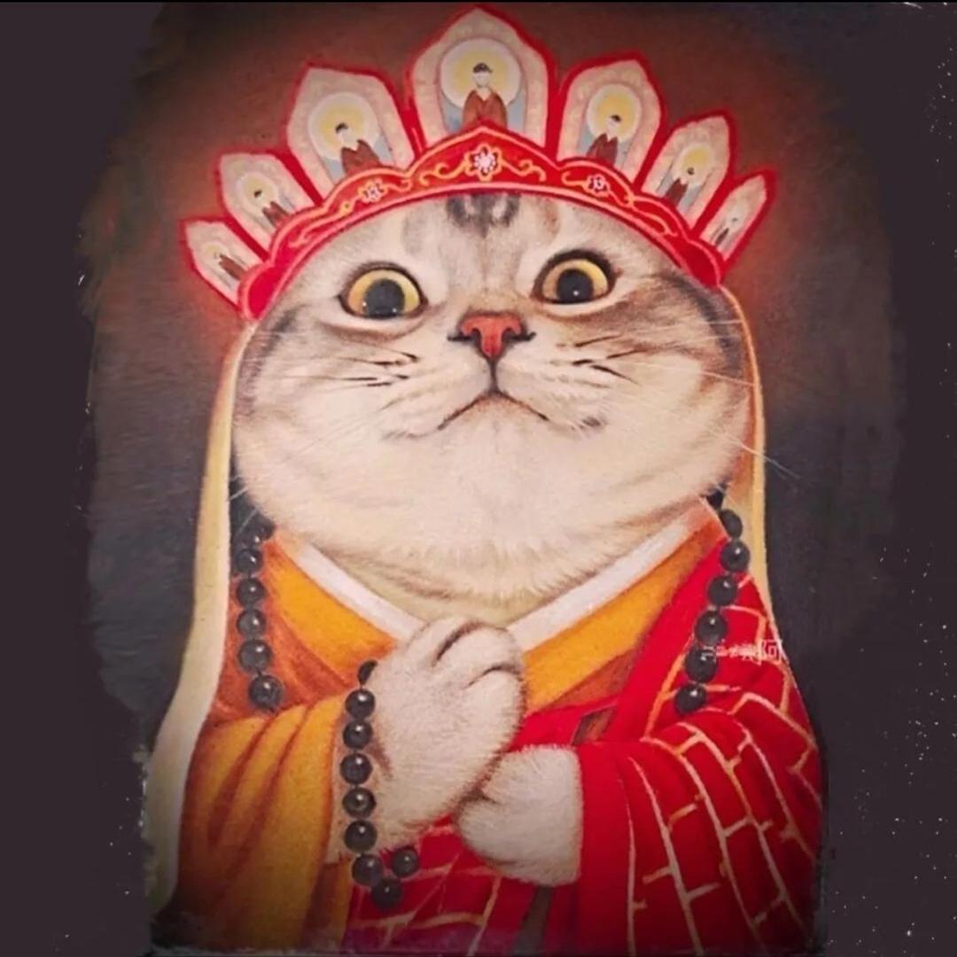 慧丰棋牌