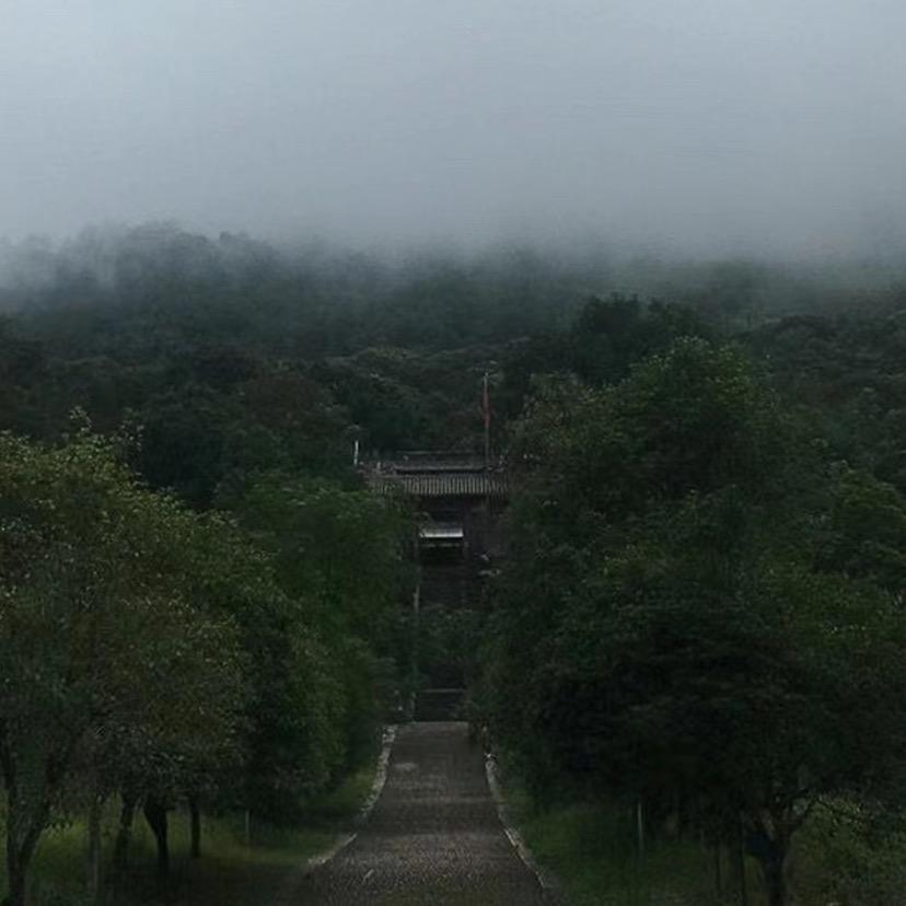 轩义
