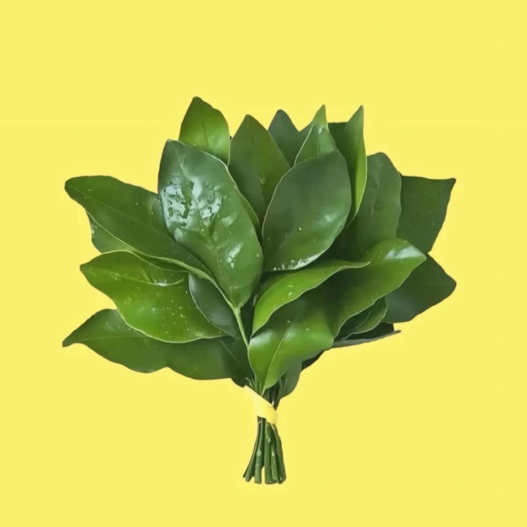 心动了吗
