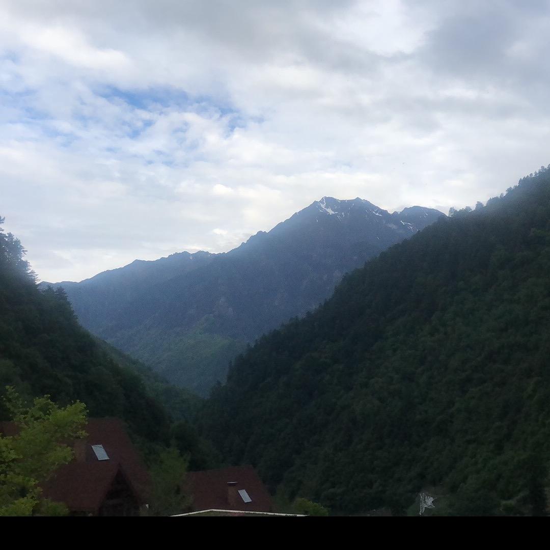 黑化肥会发挥
