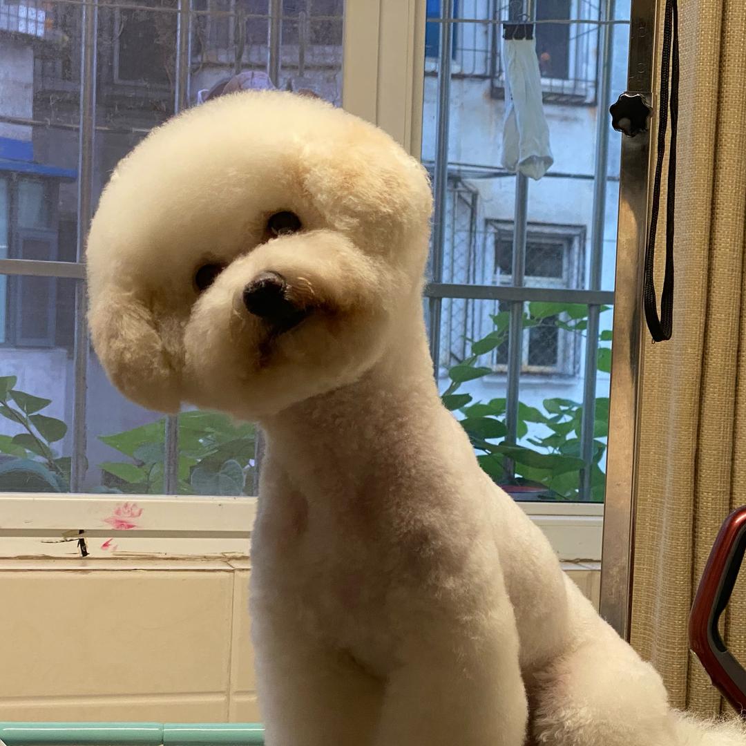 财神爷心尖尖上的小宝贝💰💰💰