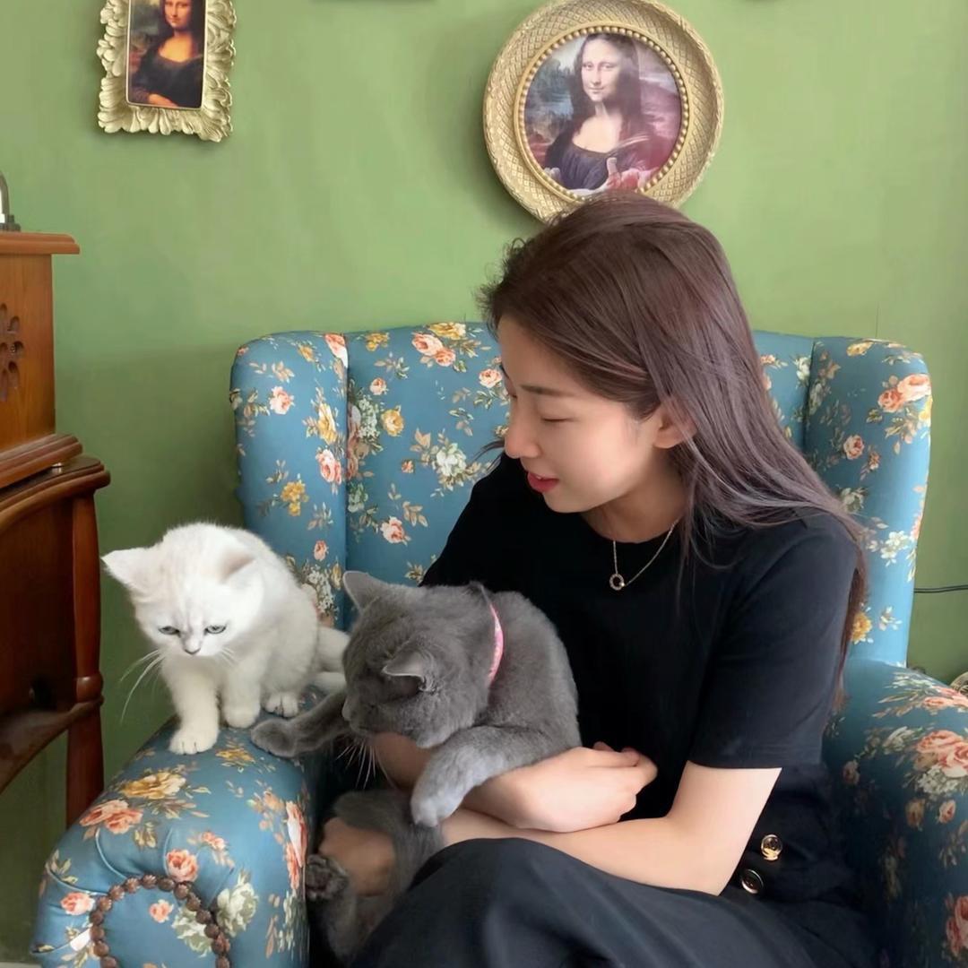 MJ在南阳🥳「探店 直播 好物」