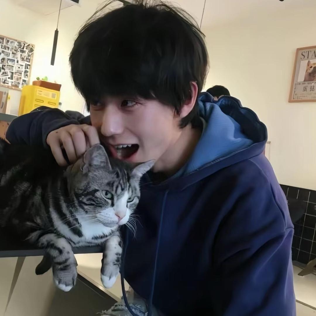 卷心菜、