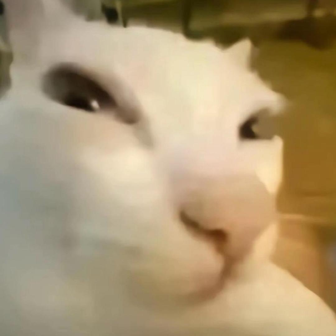 02.