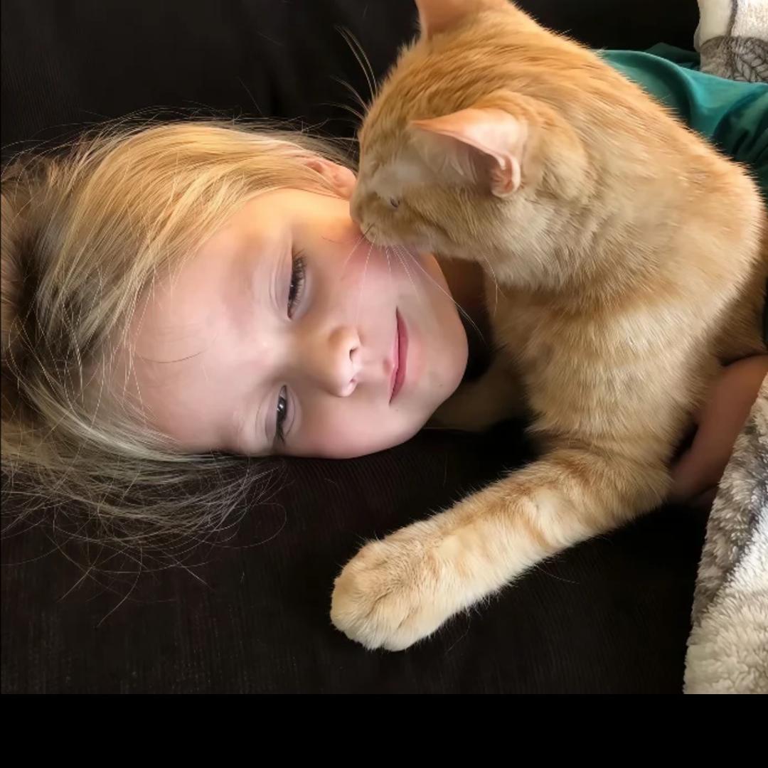 忧郁的女神冻死在国际庄