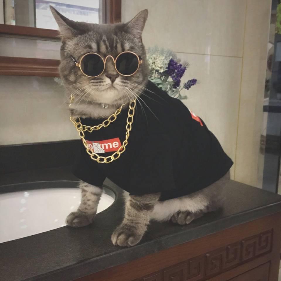 梦幻西游无语猫猫