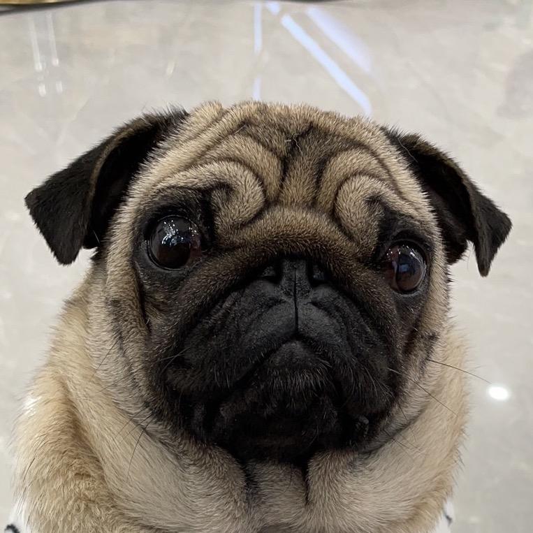 小煤炭