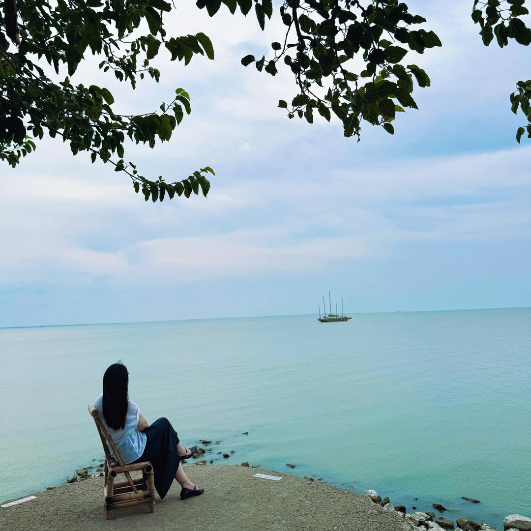 Z .小小张