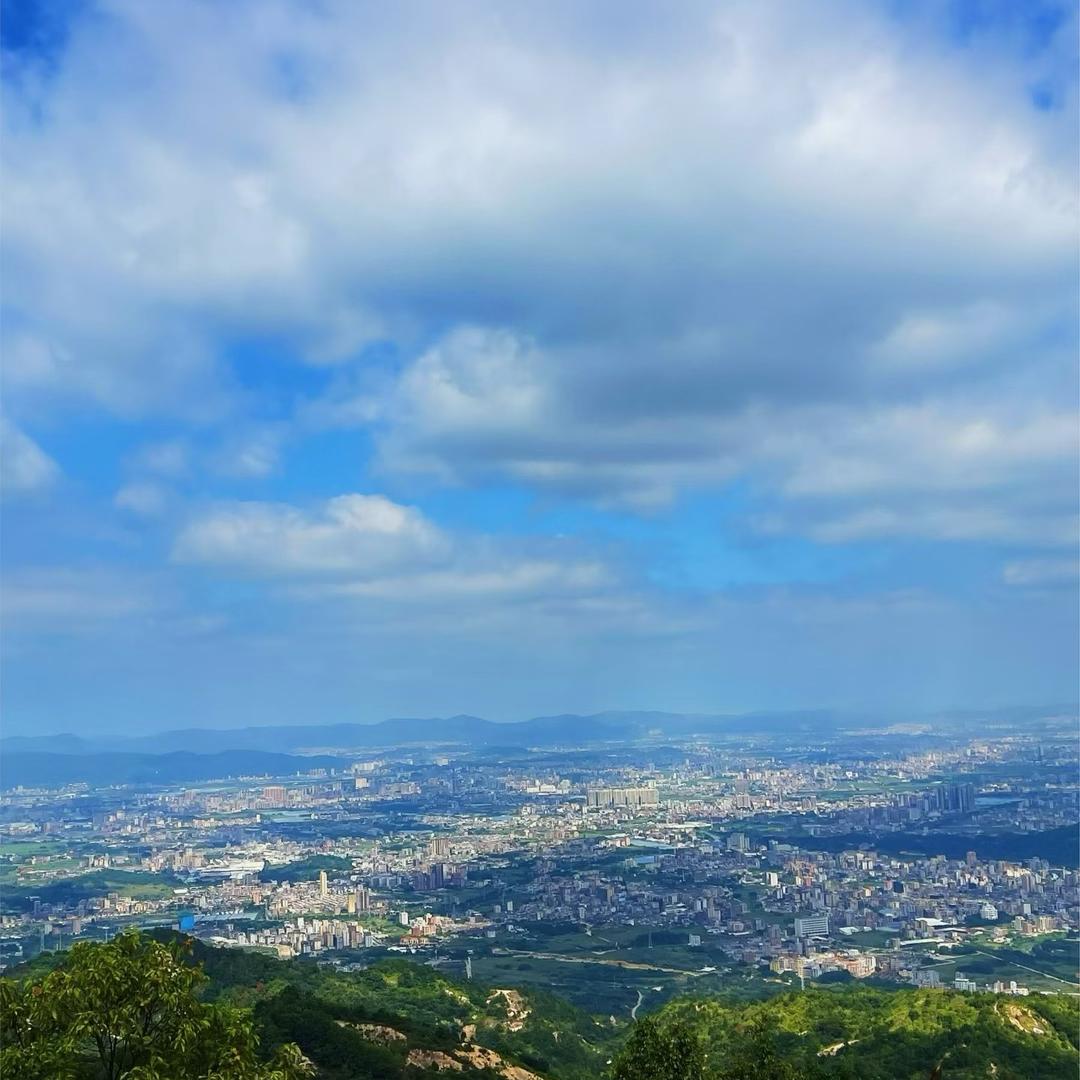 看世界奇闻趣事