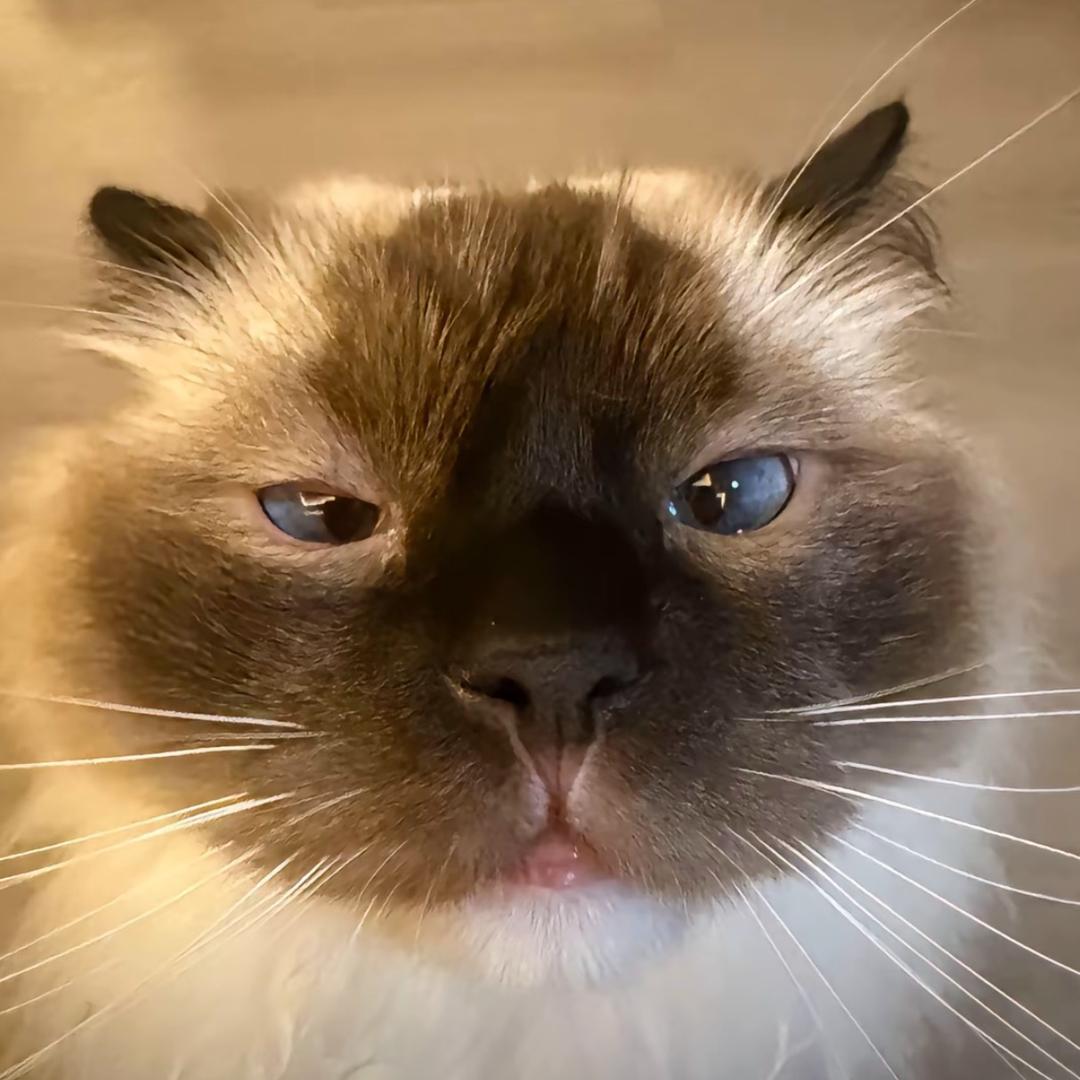 我要瘦得自带鱿鱼干不是猪肝