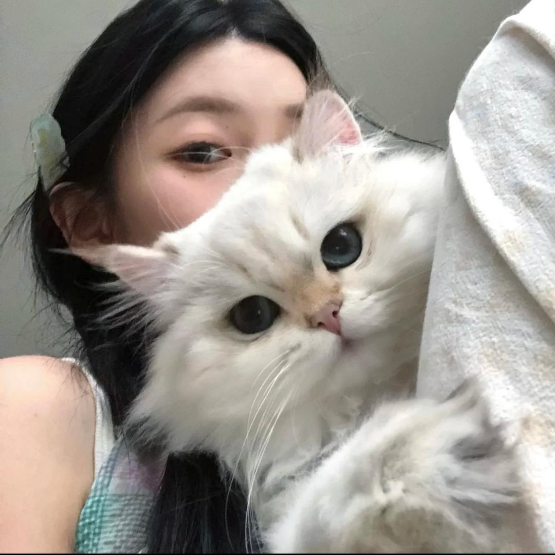 一只不吃香菜的🐑