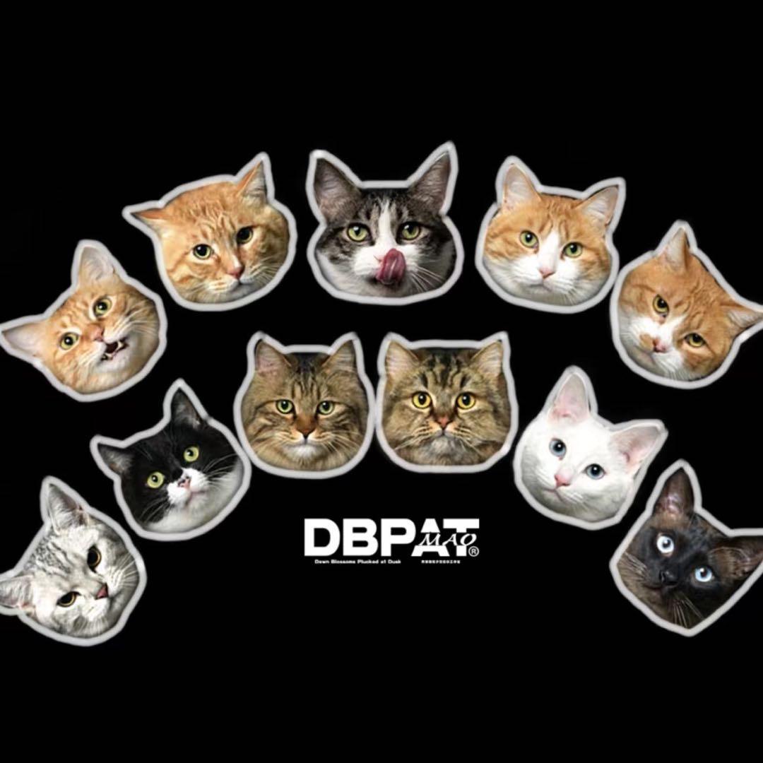 DBPAT-喵摄