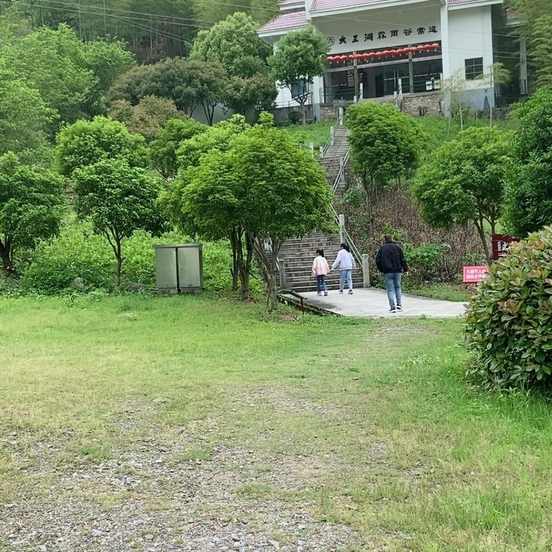少鱼