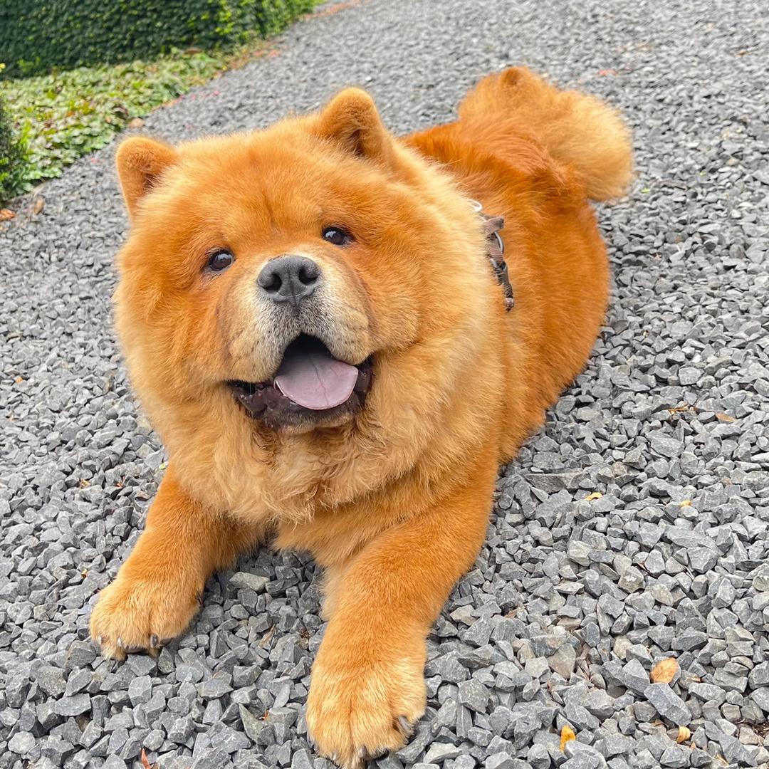 Aiko🦴❀吴ꦿ࿐ོ🇳🇱