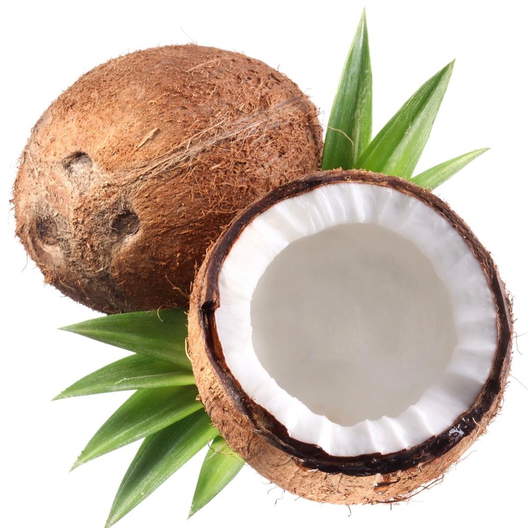 椰子🥥