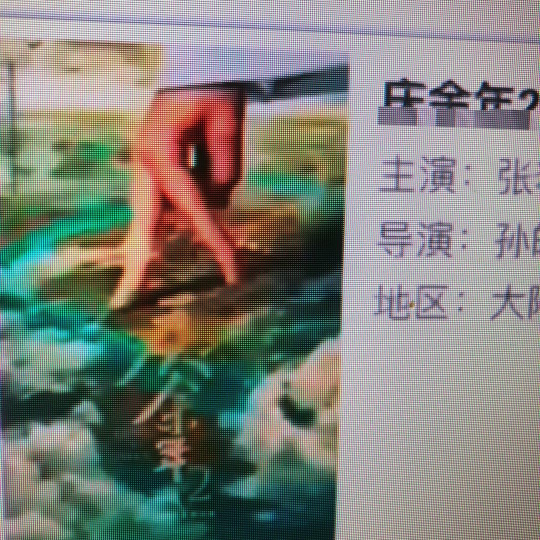 庆余小年222