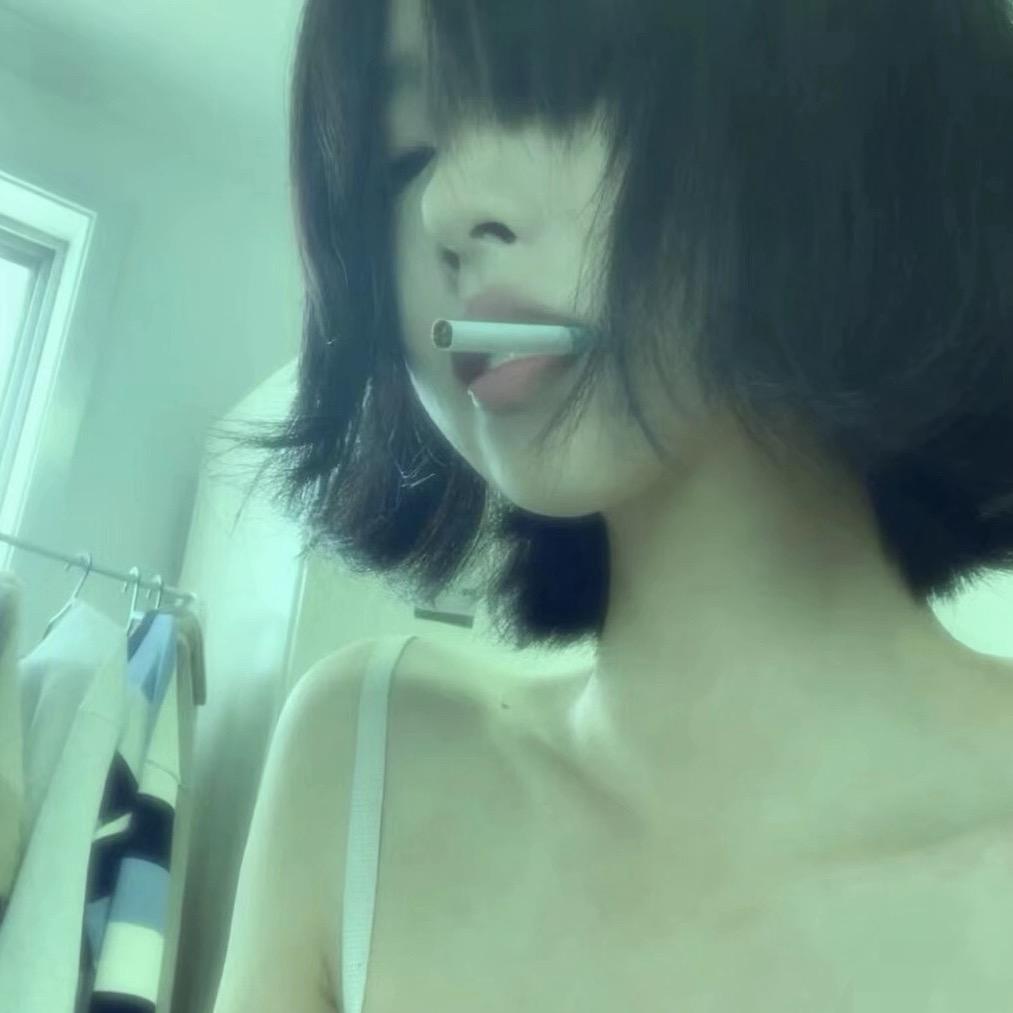 流浪小猫