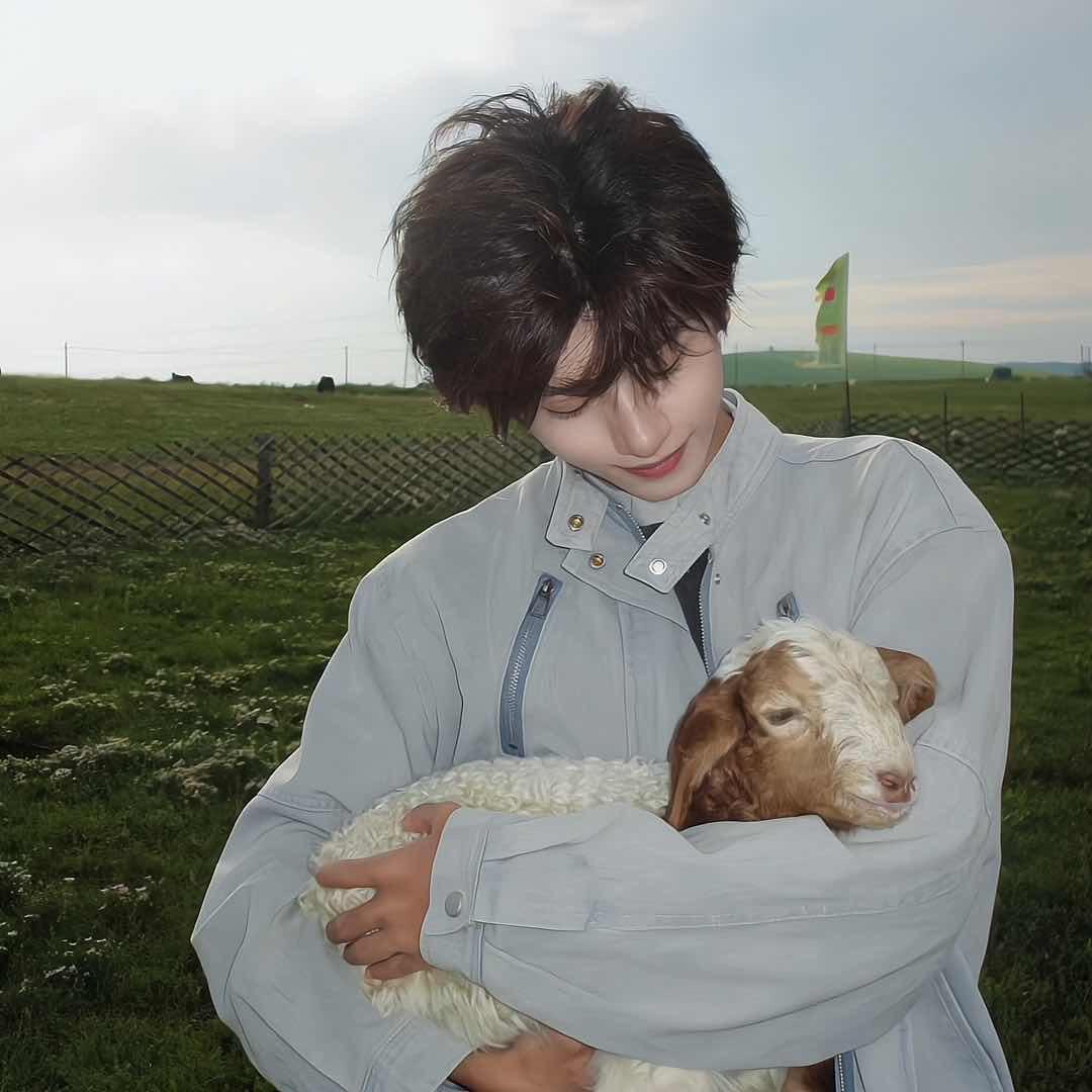 不是老🐑