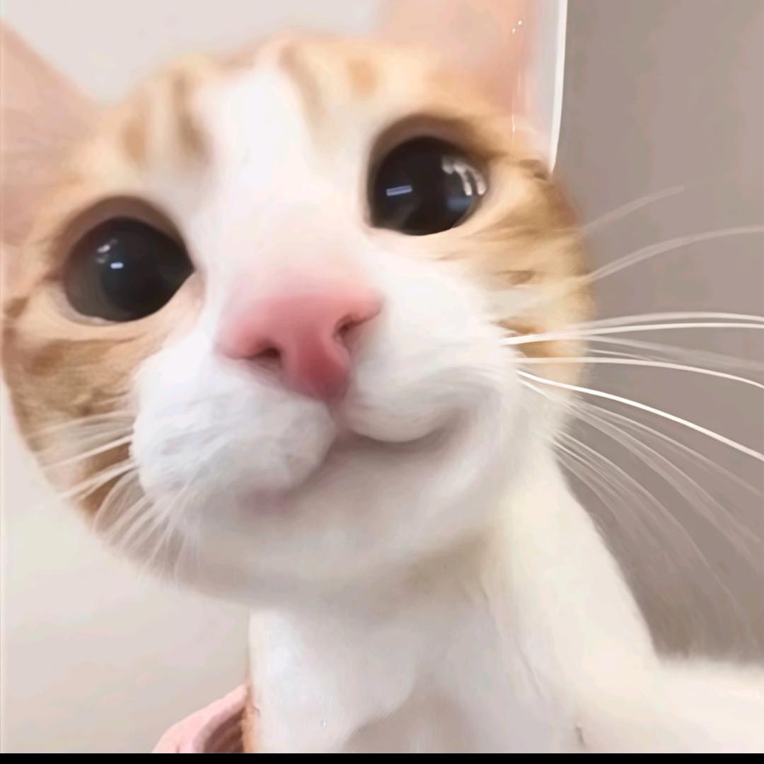 新梦
