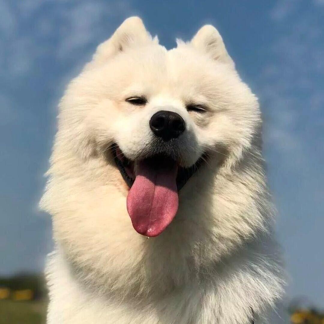 和煦.