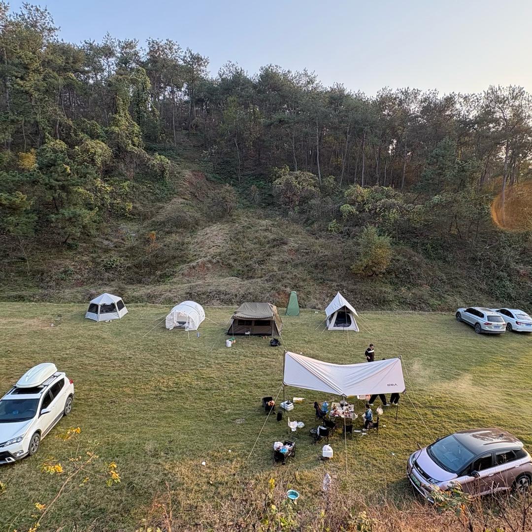 皮衣大叔新能源汽车