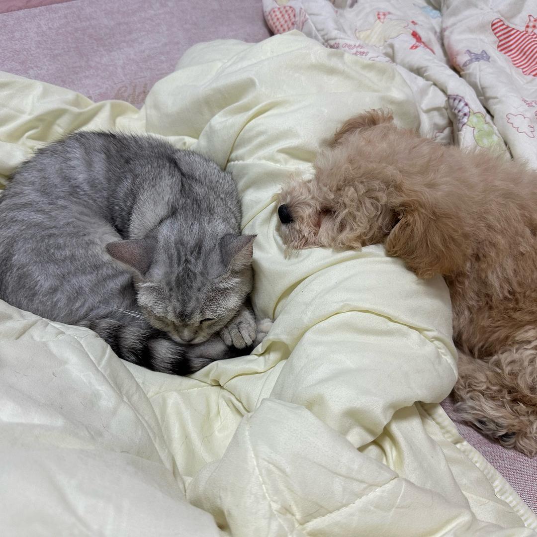 虚伪的女人
