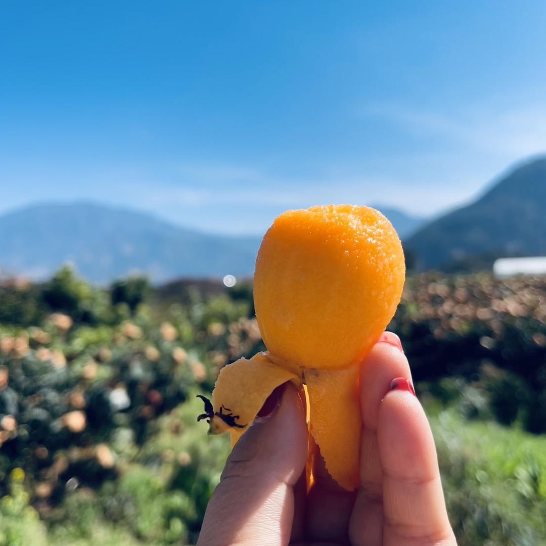 妞榴缘生鲜