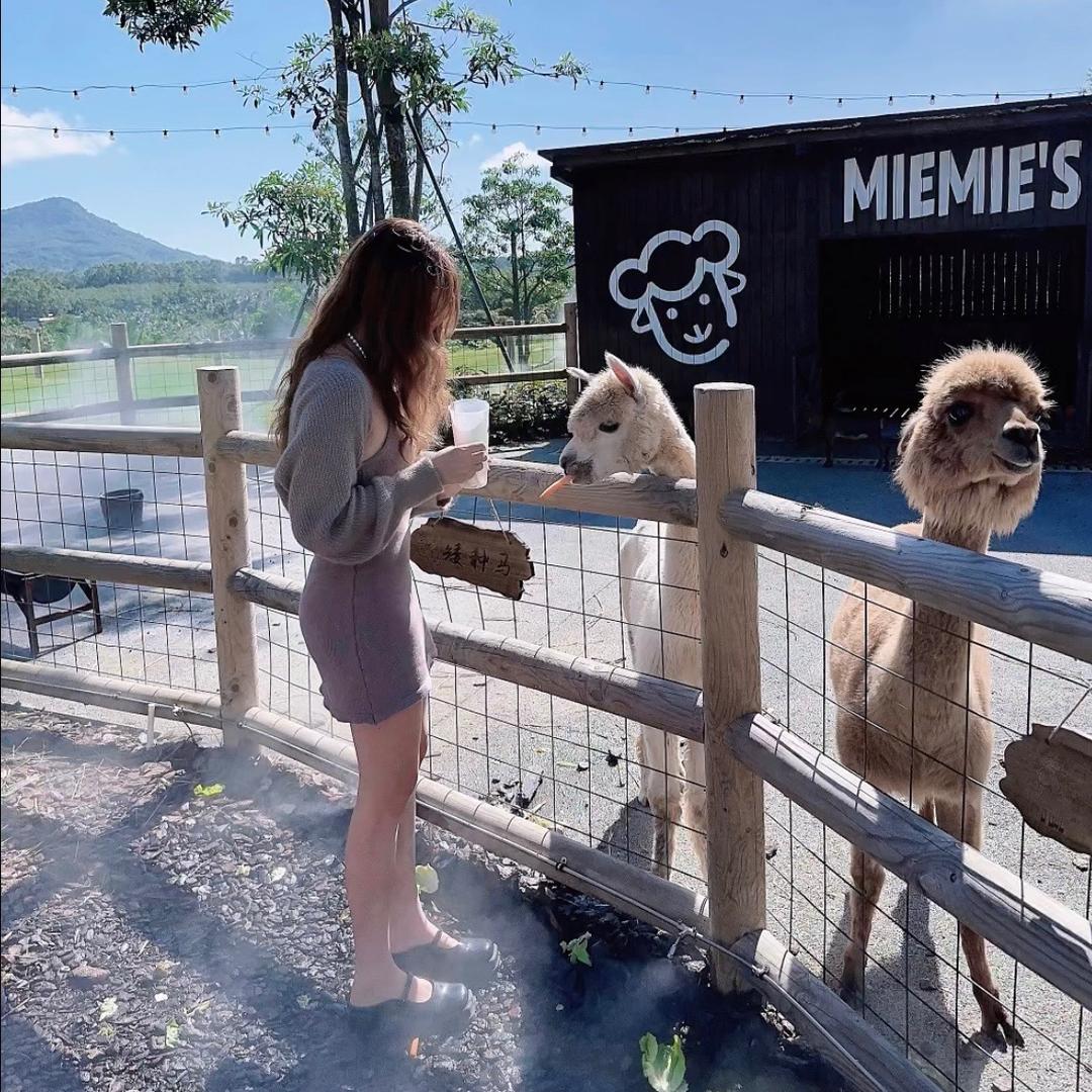ʰᵉˡˡᵒ𝙠𝙞𝙩𝙩𝙮.