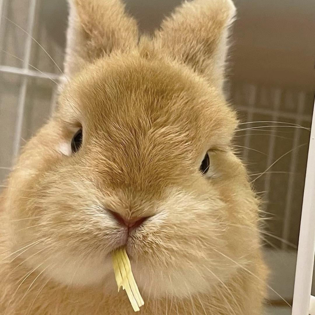 优一米宠物馆