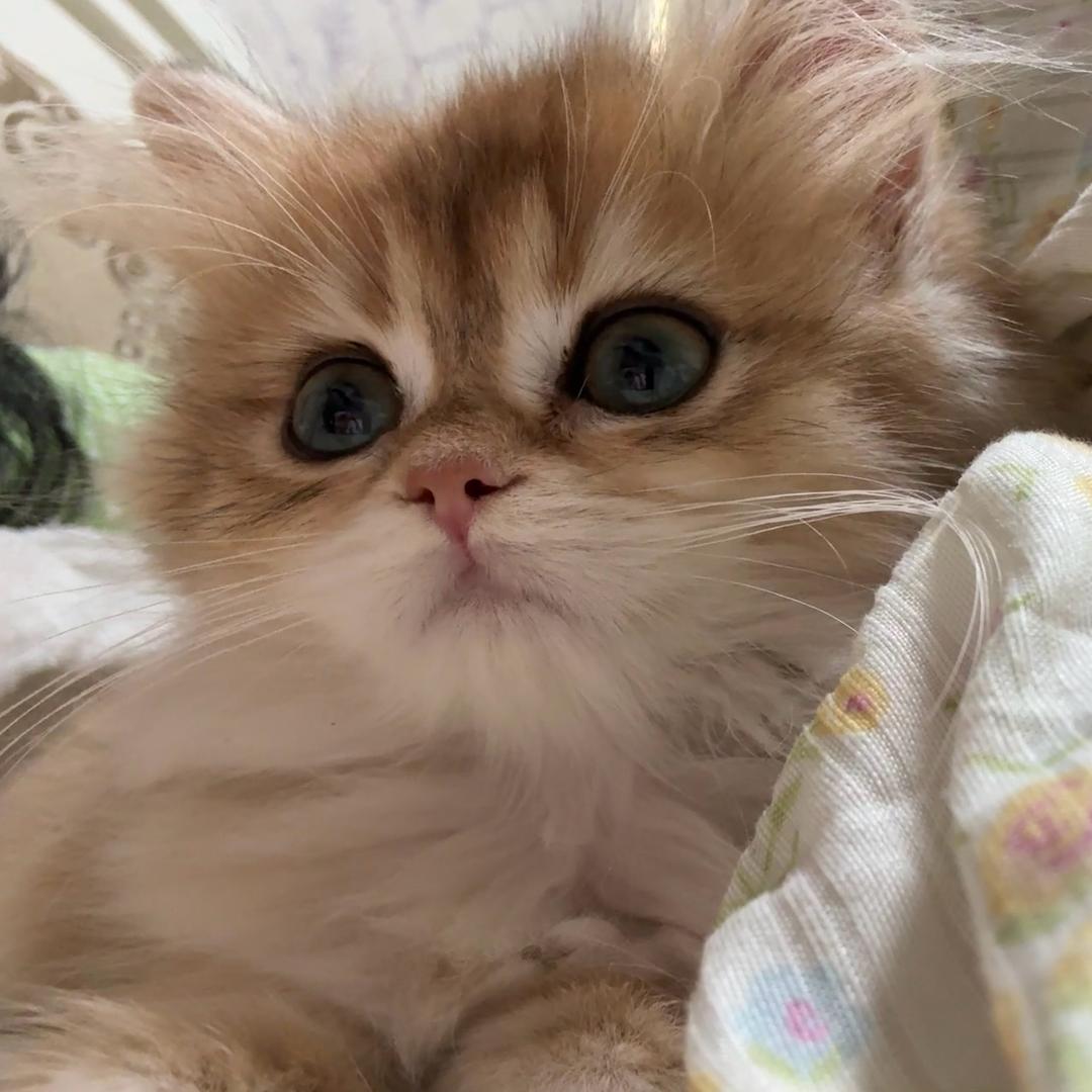 我睡觉的时候不困'