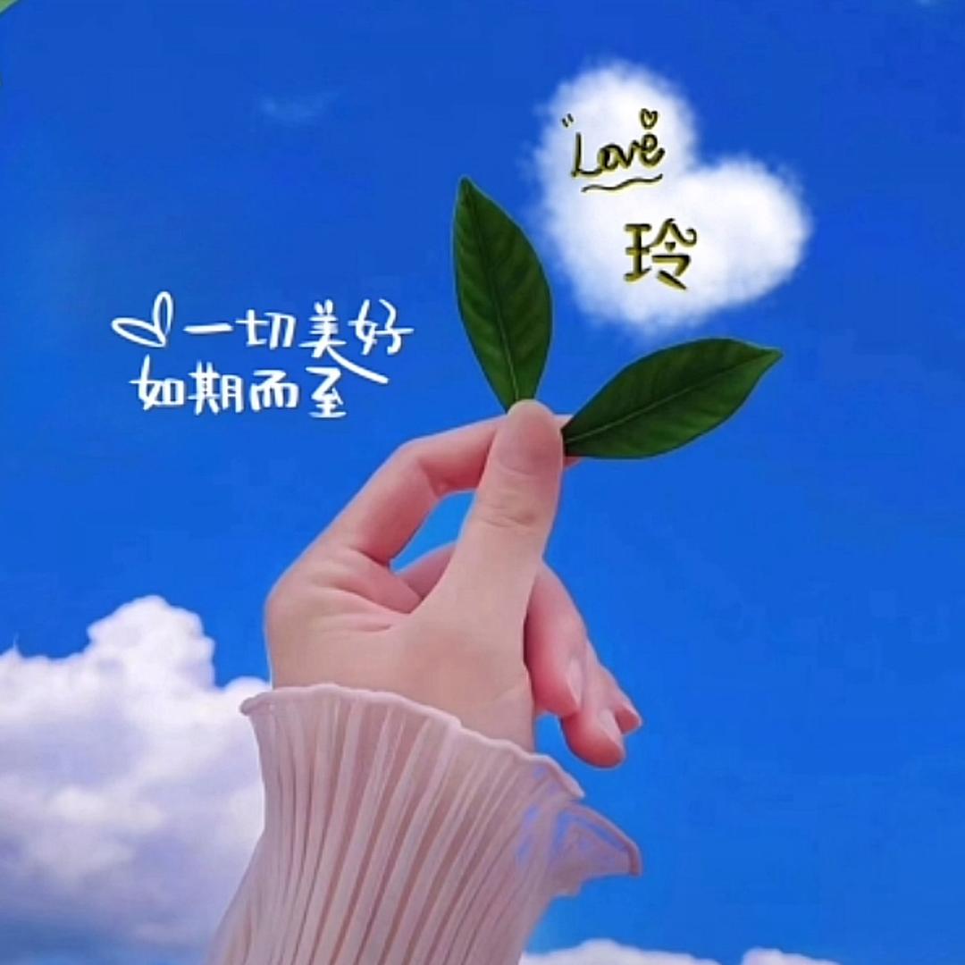 玲珑香雨