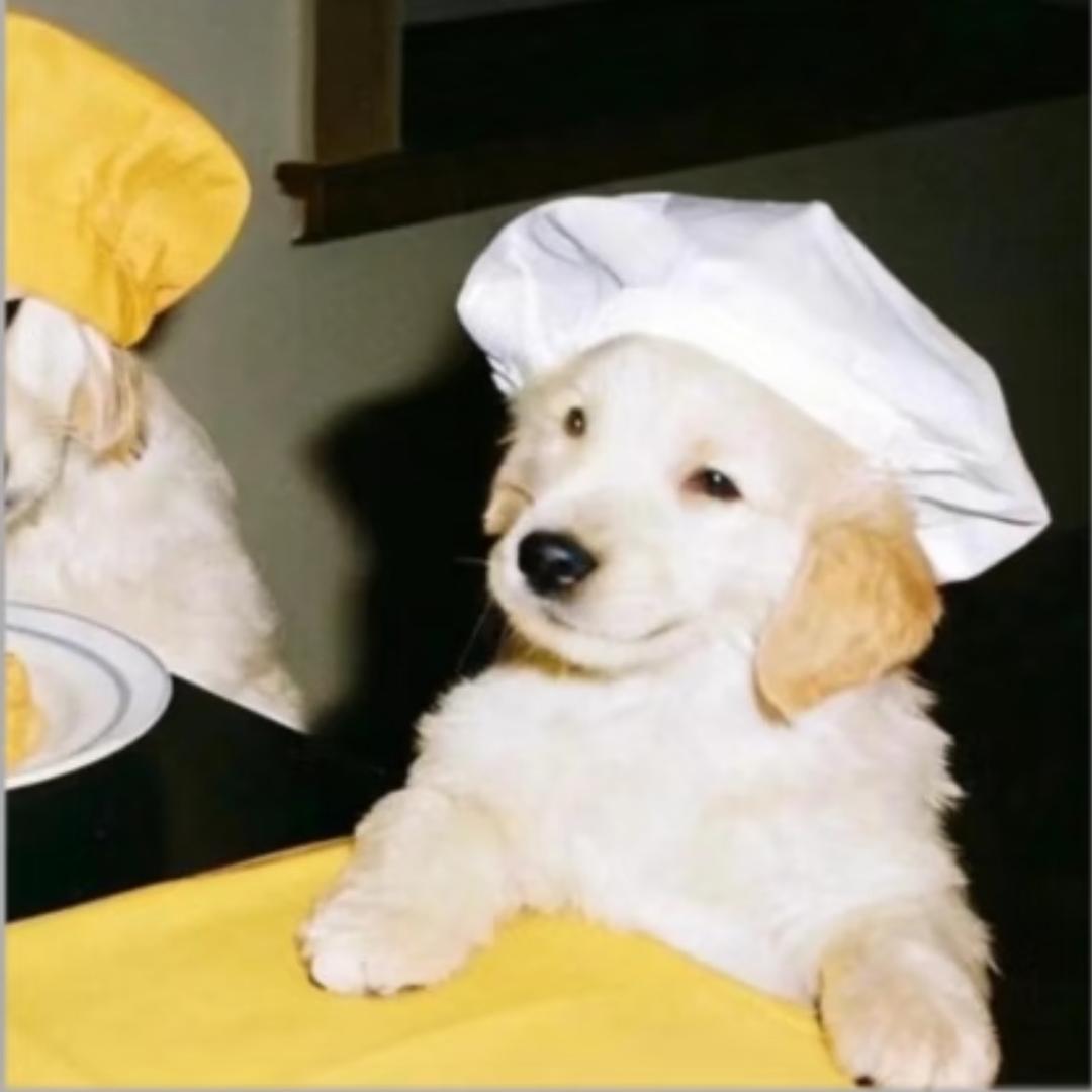 明天喝碗荷叶粥