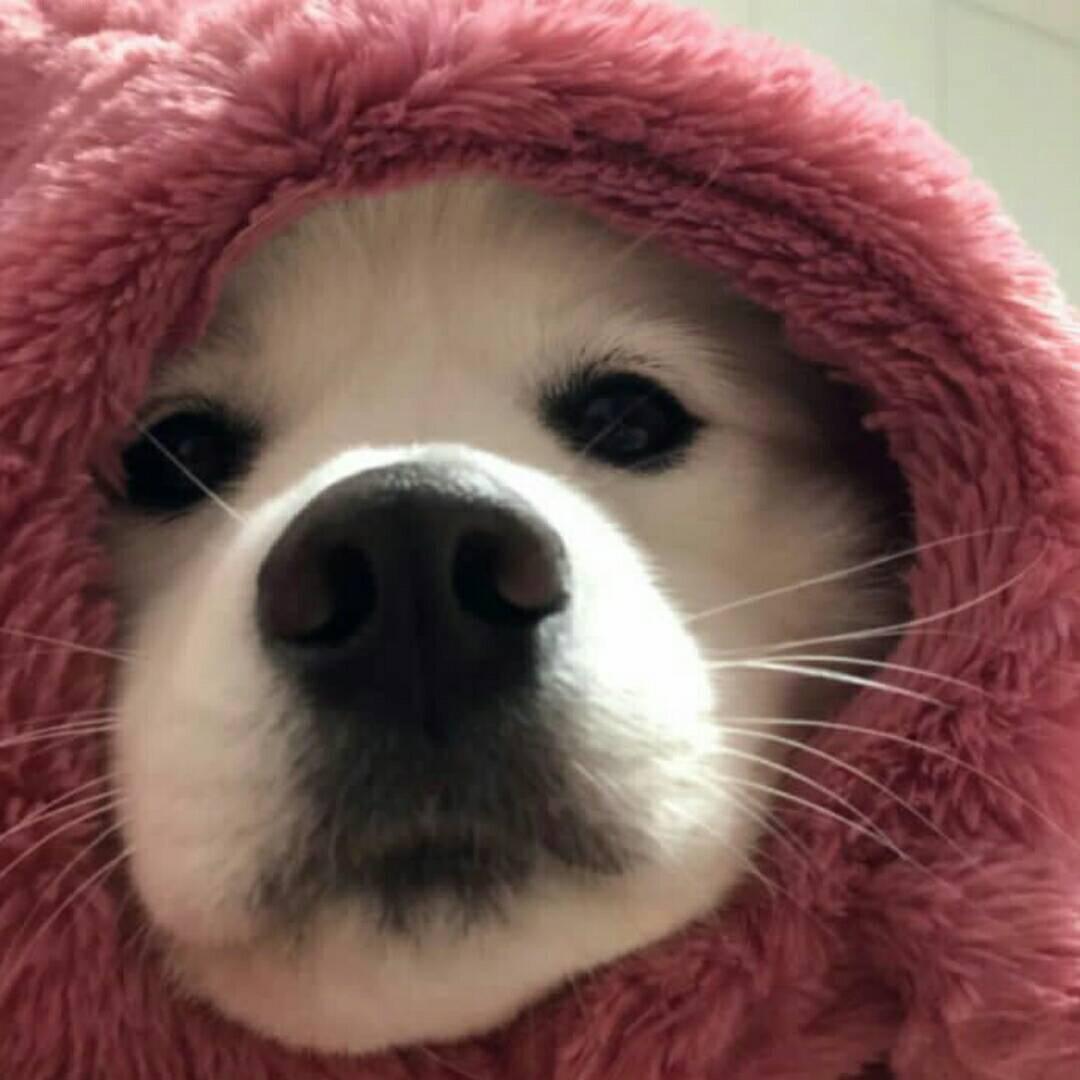 呜呜吴