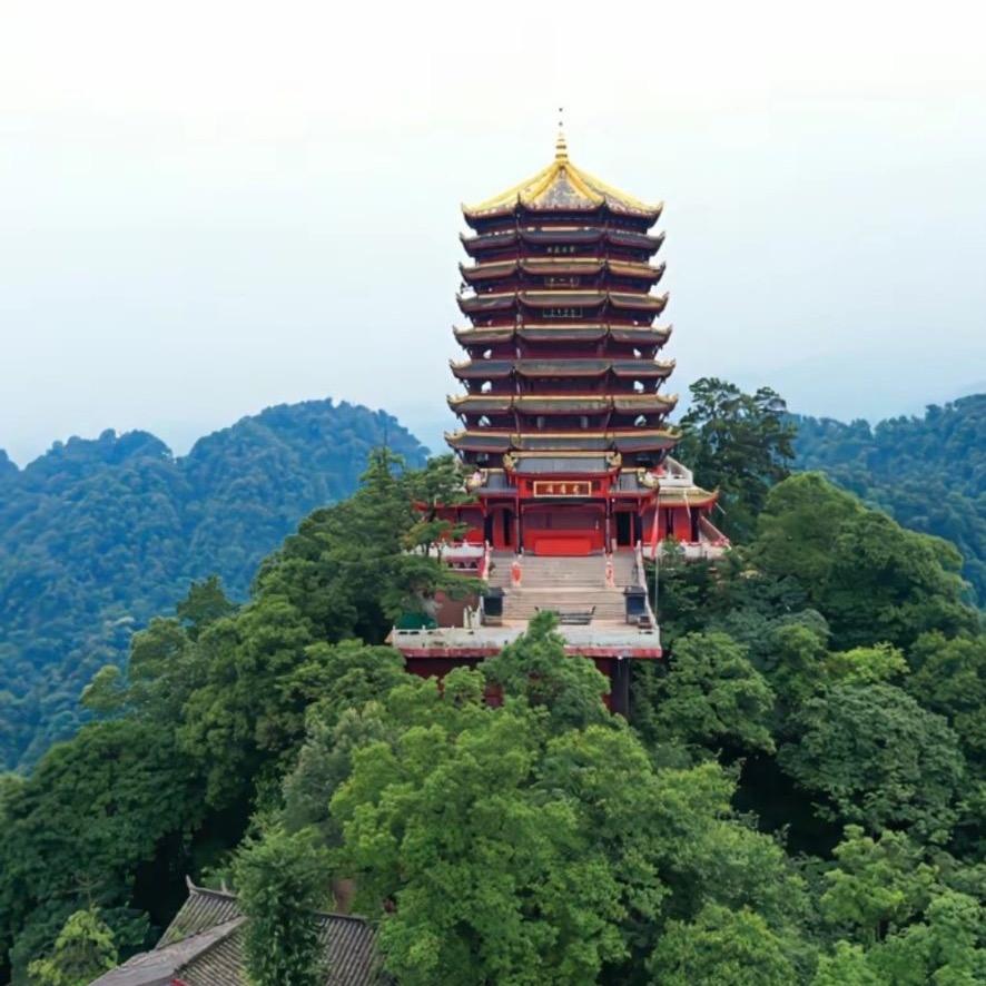 平凡的世界：杨