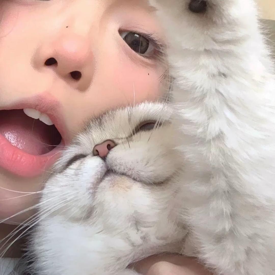 心动男嘉宾