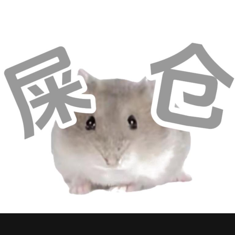 C.A.T.S屎仓shit