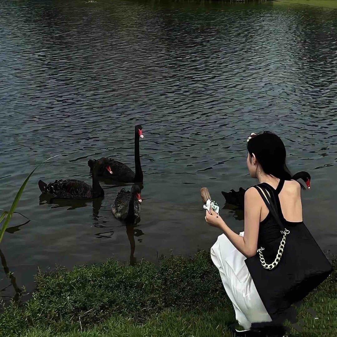 慧慧•