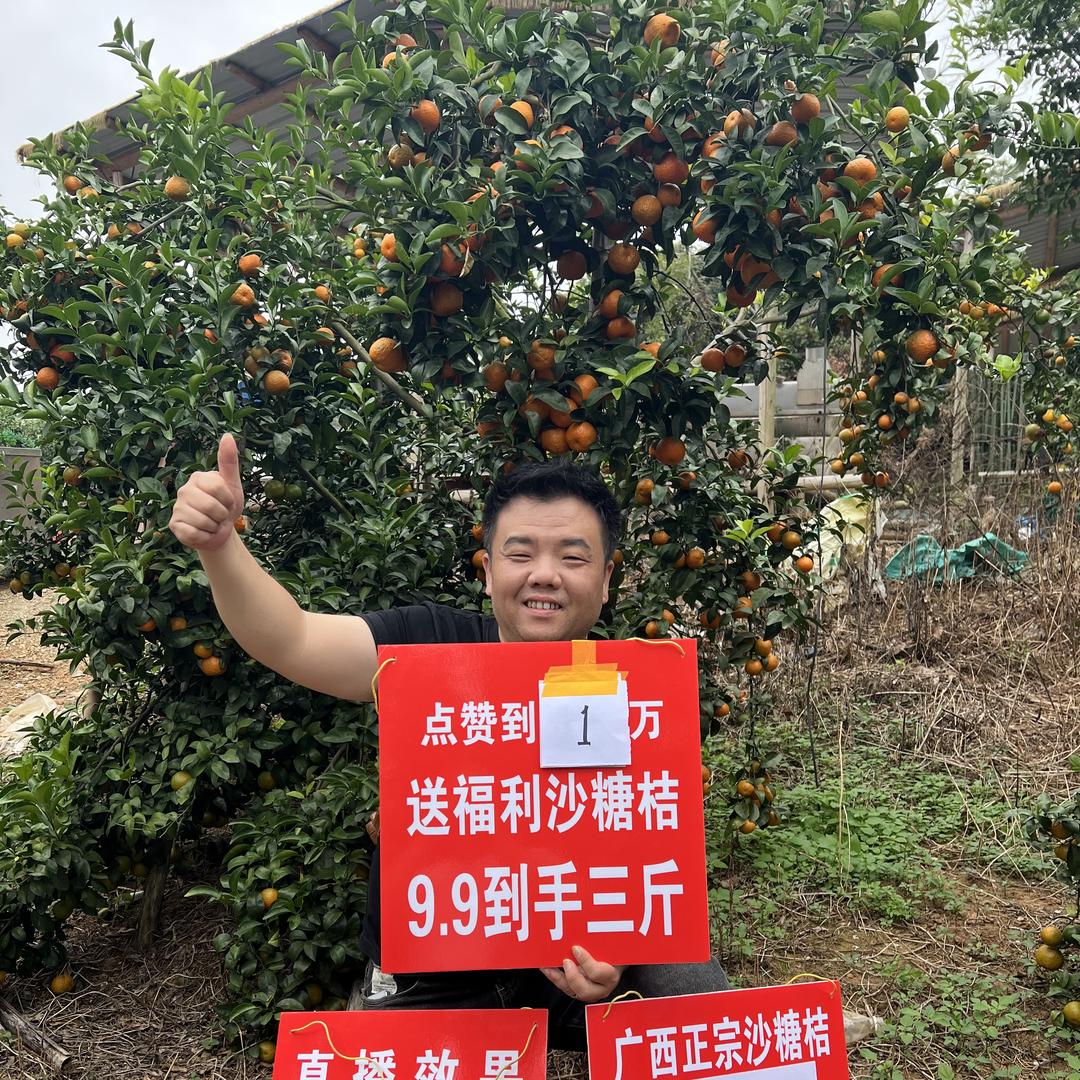 庐陵食尚优选食品