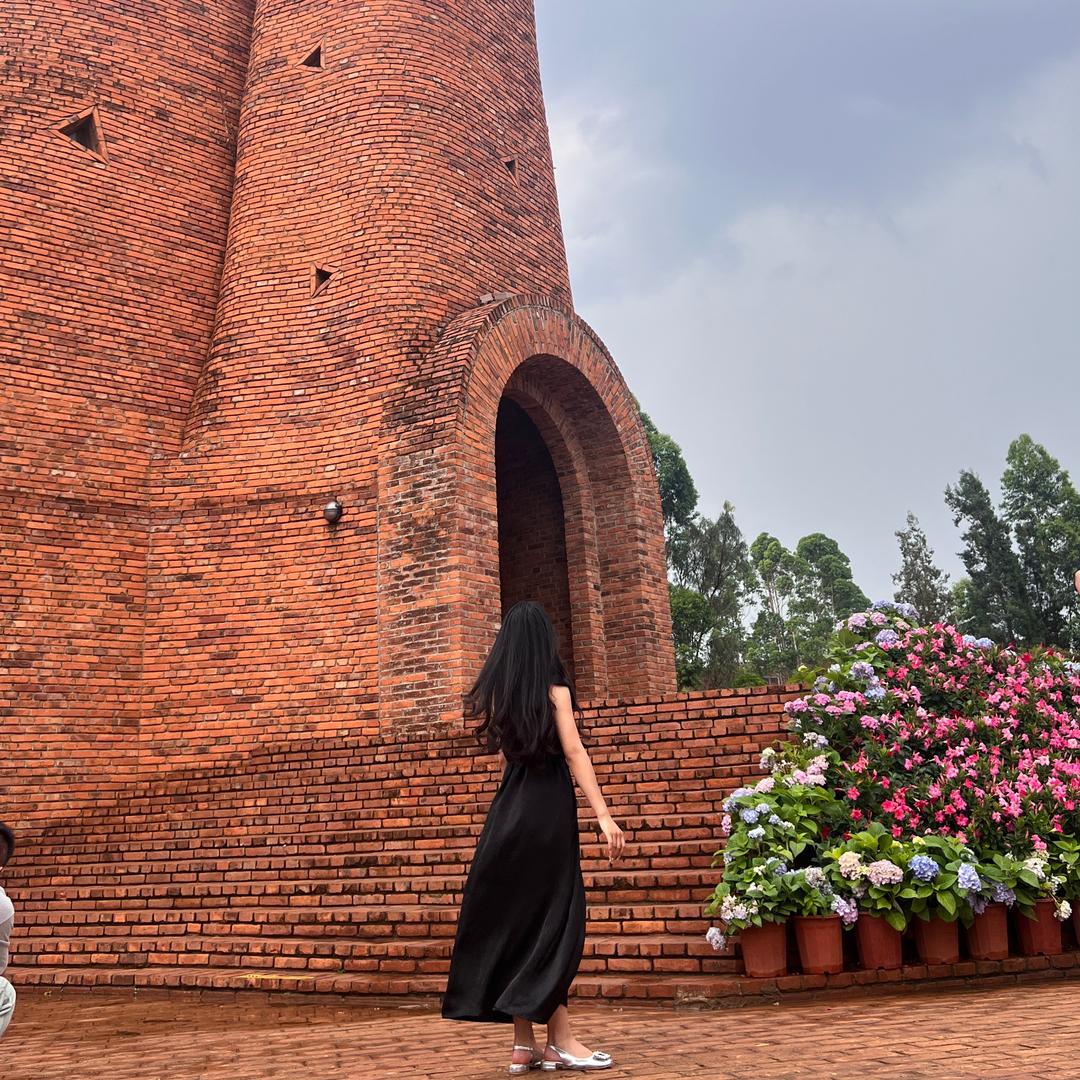 会发财的薯条🍟