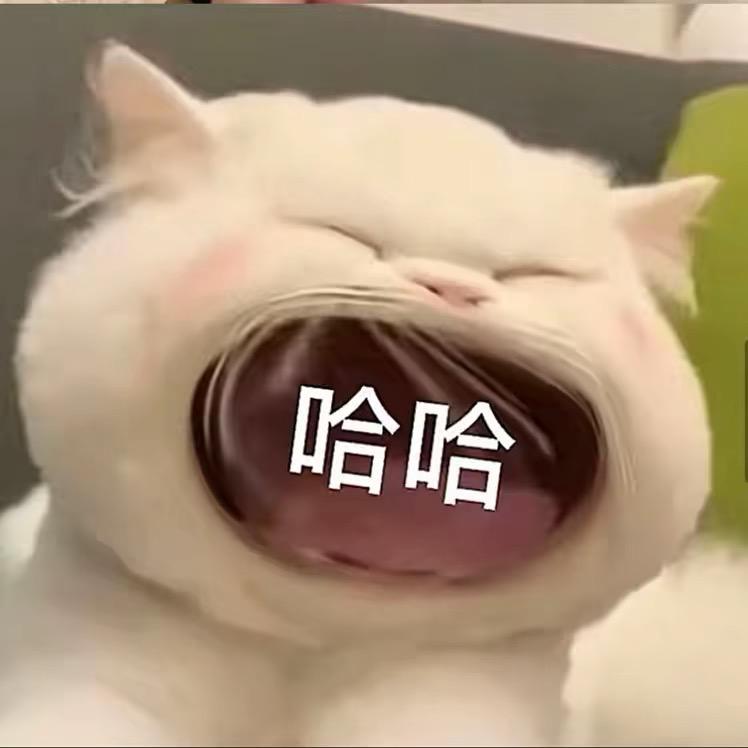懒洋洋